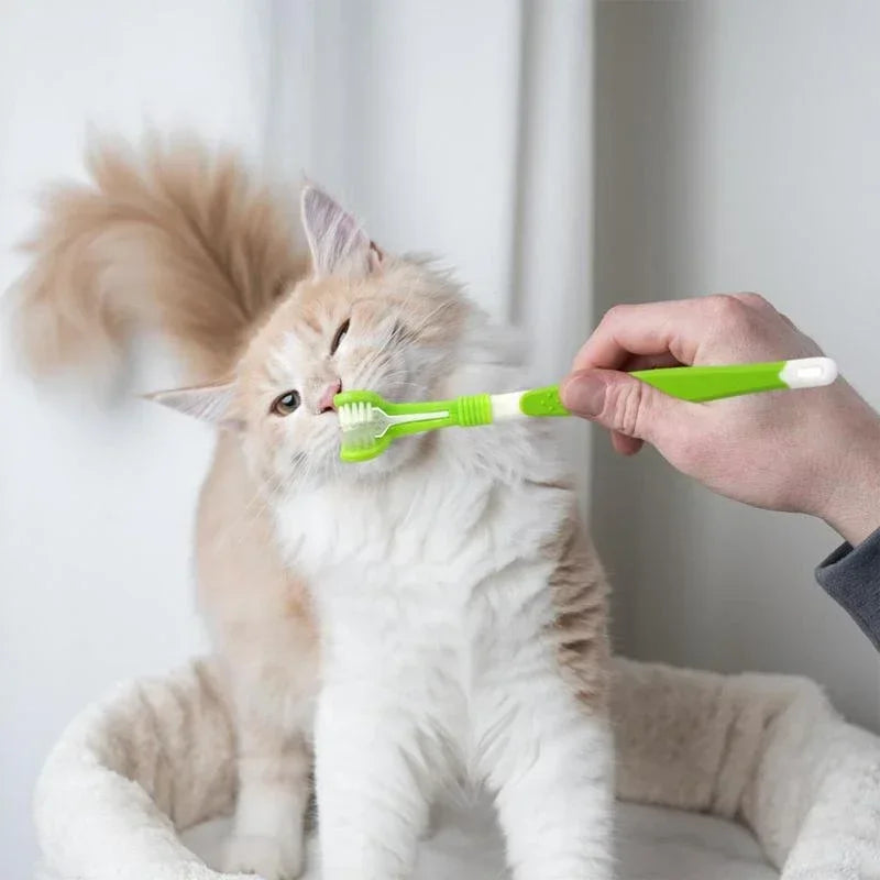 Toothbrush Dog Plastic Toothbrush Removing Bad Breath Tartar Cleaning Mouth Pet Dental Care Cat Cleaning Mouth