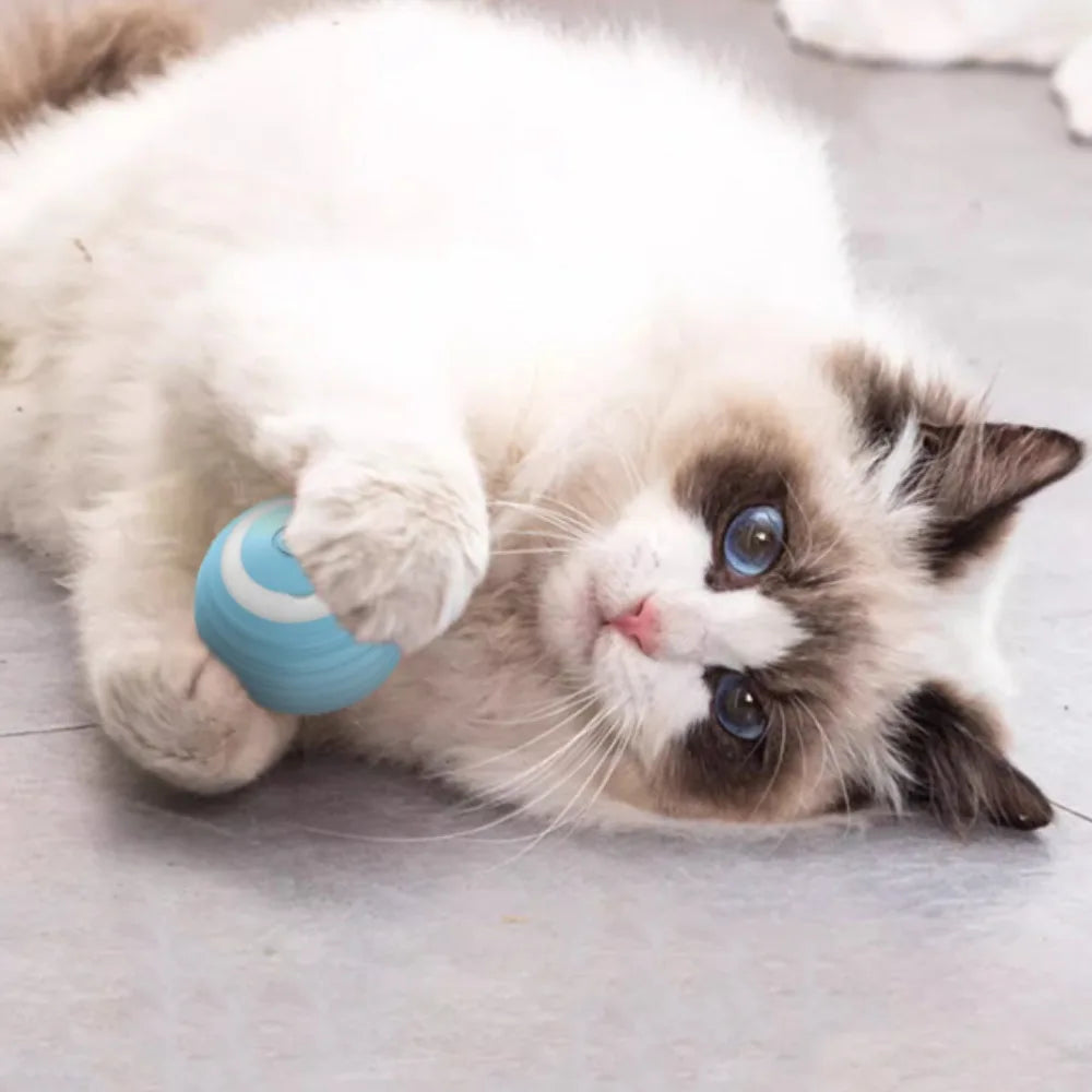 Rechargeable Smart Cat Rolling Ball Toy Interactive Self-Moving Motion Ball for Kitten Indoor Play Interactive Pet Supplies
