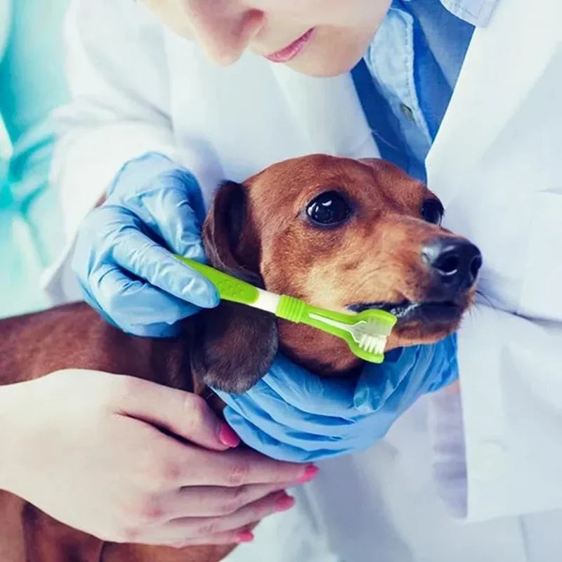 Toothbrush Dog Plastic Toothbrush Removing Bad Breath Tartar Cleaning Mouth Pet Dental Care Cat Cleaning Mouth