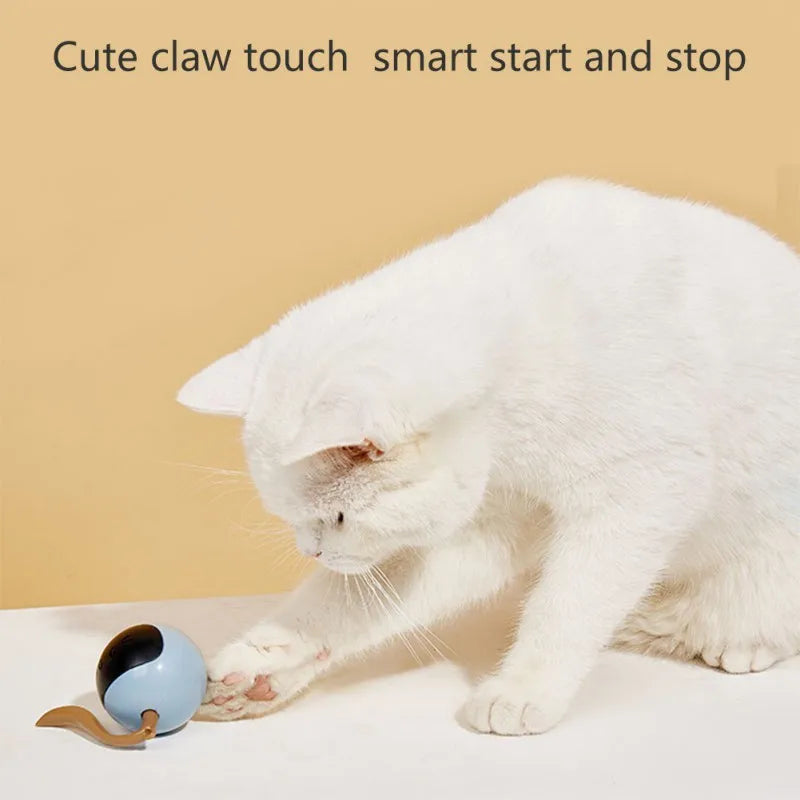 Interactive Smart Cat Toy Colorful LED Self Rotating Pet Ball Toys USB Rechargeable Kitten Automatic Ball Toys Cat Accessories