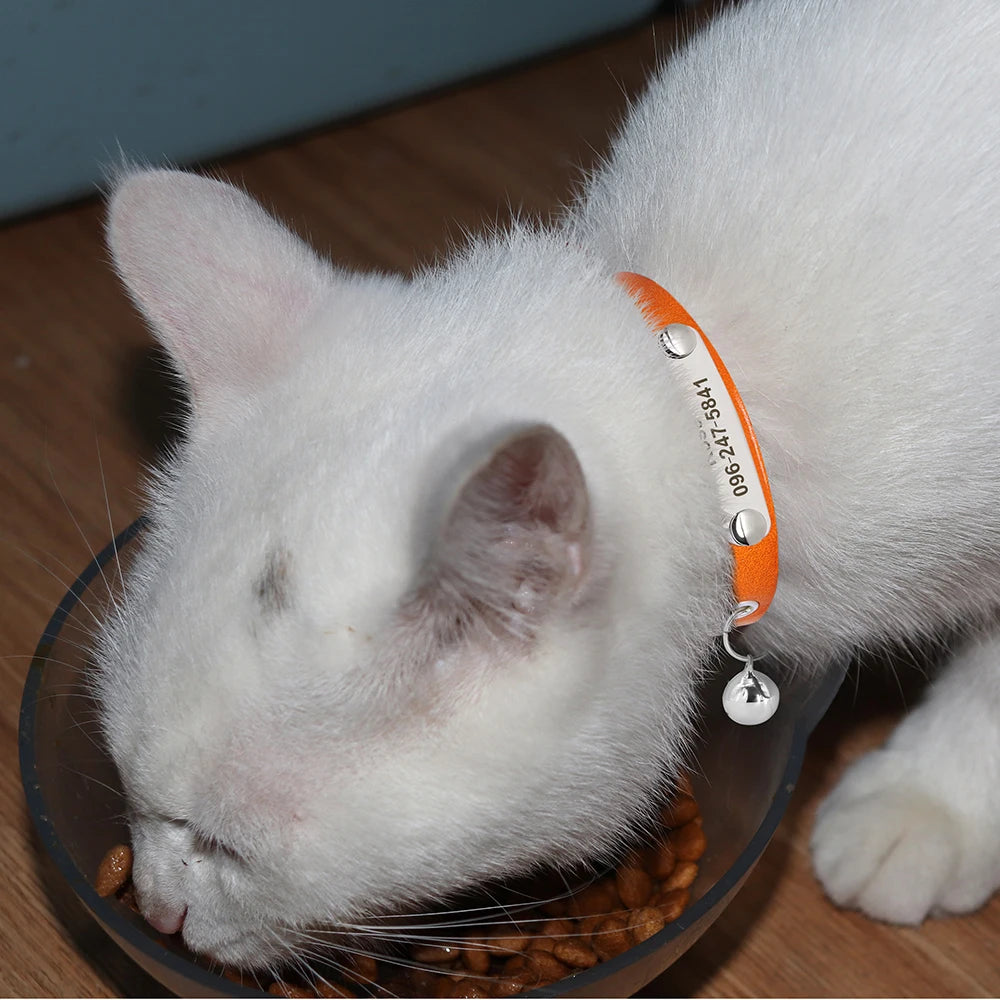 Cat Collar Adjustable Leather Pet Cats Collars Necklace Custom Puppy Kitten Name Collars Anti-lost Cat Accessories