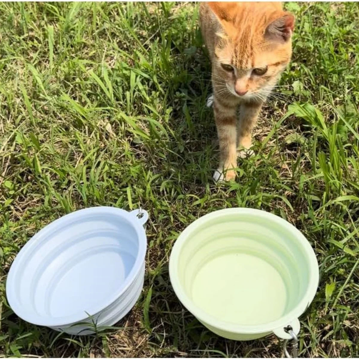 2pcs Collapsible Silicone Dog Food & Water Bowl Set with Carabiner Portable Travel Pet Feeder Dish Universal for Outdoor Camping