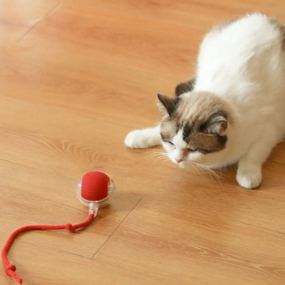 Rechargeable Smart Cat Rolling Ball Toy Interactive Self-Moving Motion Ball for Kitten Indoor Play Interactive Pet Supplies