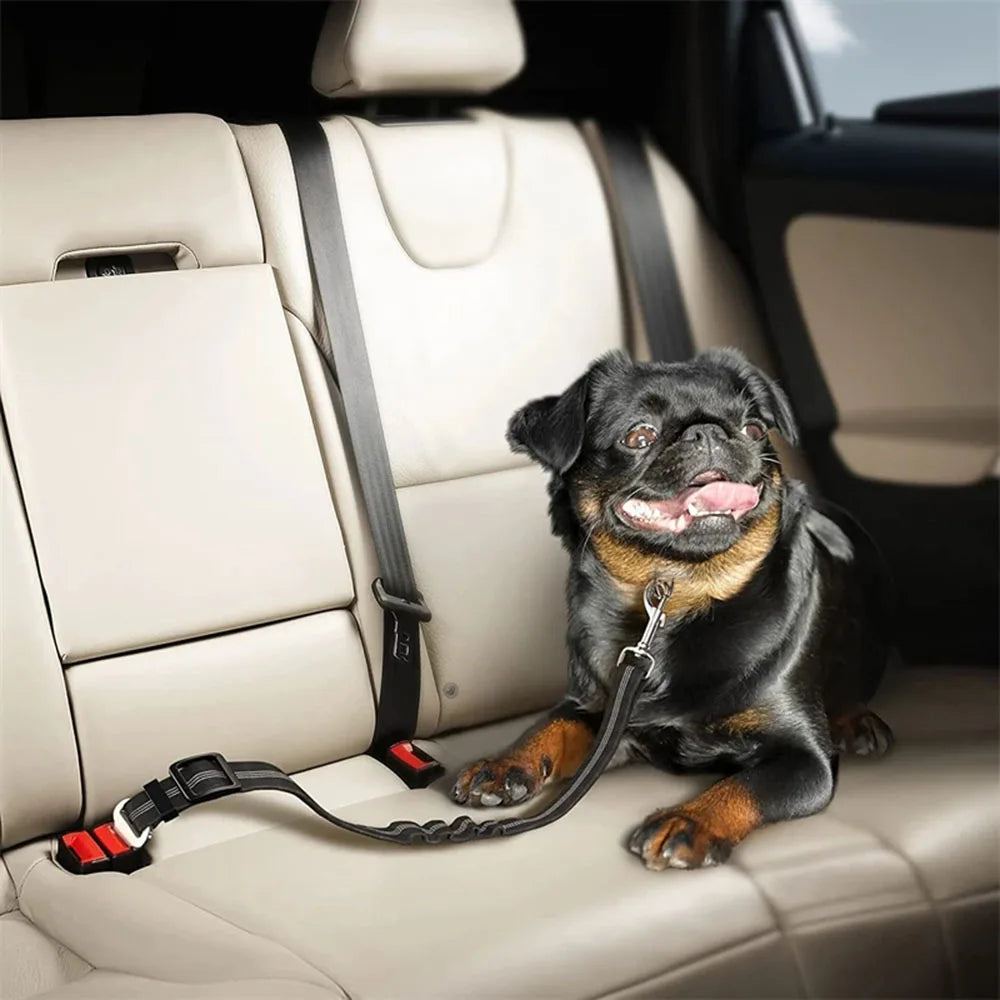 Adjustable Dog Car Seat Belt Harness – Reflective, Padded & Elastic Safety Strap for Comfortable Car Travel