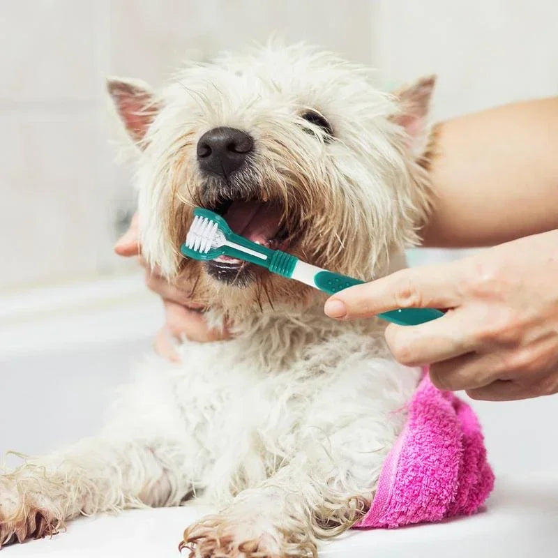 Toothbrush Dog Plastic Toothbrush Removing Bad Breath Tartar Cleaning Mouth Pet Dental Care Cat Cleaning Mouth