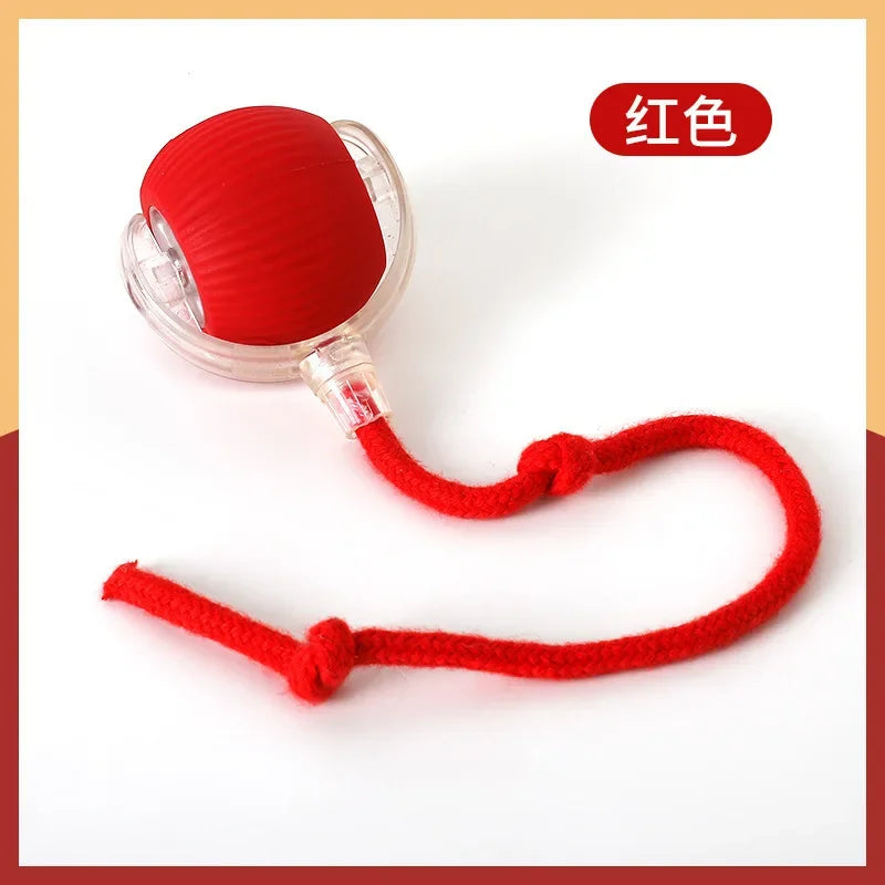 Rechargeable Smart Cat Rolling Ball Toy Interactive Self-Moving Motion Ball for Kitten Indoor Play Interactive Pet Supplies
