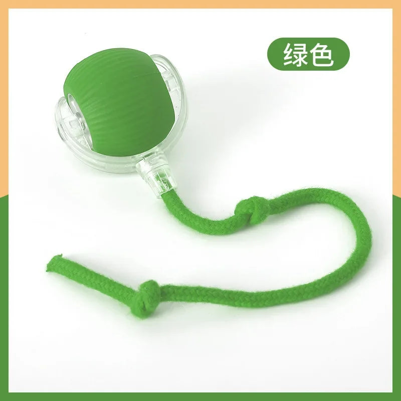 Rechargeable Smart Cat Rolling Ball Toy Interactive Self-Moving Motion Ball for Kitten Indoor Play Interactive Pet Supplies
