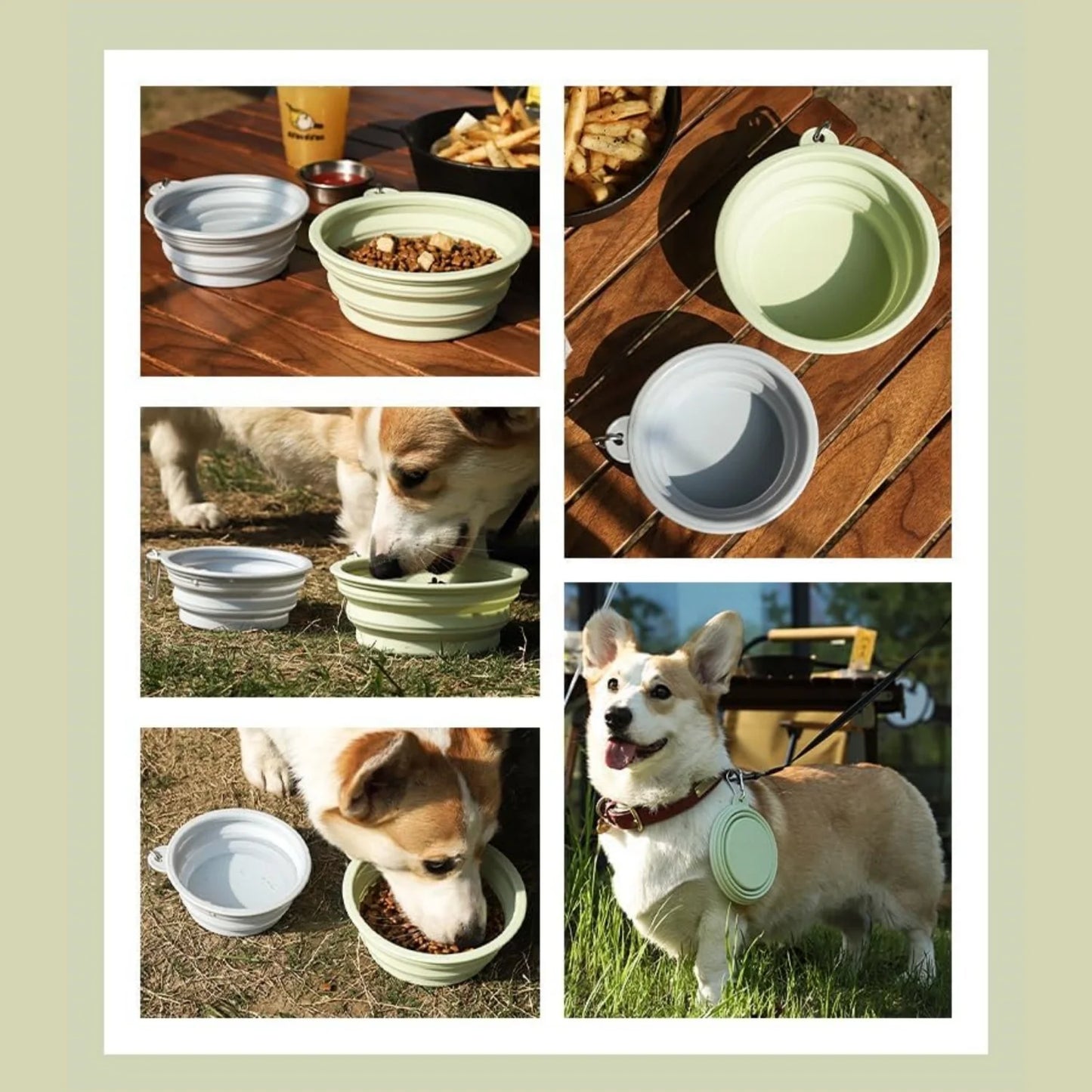 2pcs Collapsible Silicone Dog Food & Water Bowl Set with Carabiner Portable Travel Pet Feeder Dish Universal for Outdoor Camping