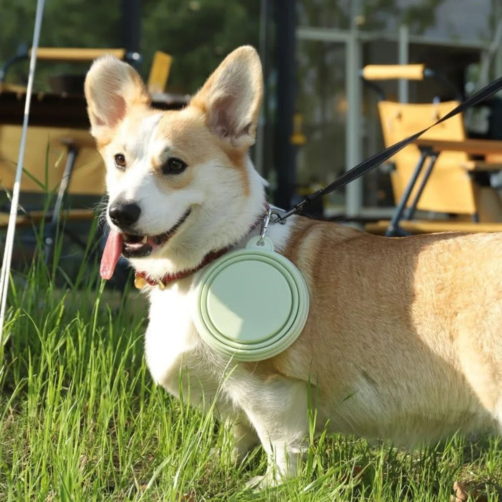 2pcs Collapsible Silicone Dog Food & Water Bowl Set with Carabiner Portable Travel Pet Feeder Dish Universal for Outdoor Camping