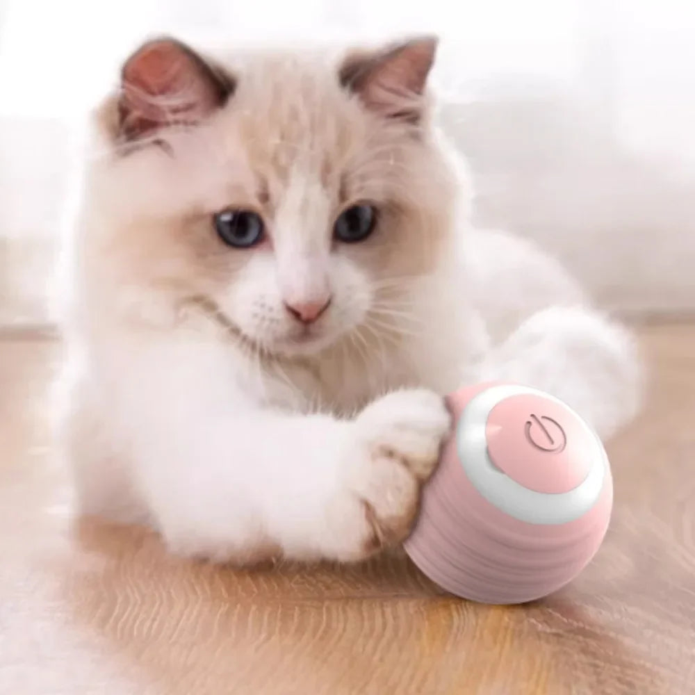 Rechargeable Smart Cat Rolling Ball Toy Interactive Self-Moving Motion Ball for Kitten Indoor Play Interactive Pet Supplies