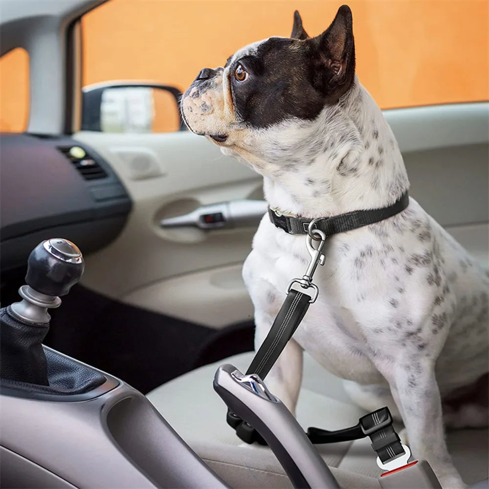 Adjustable Dog Car Seat Belt Harness – Reflective, Padded & Elastic Safety Strap for Comfortable Car Travel