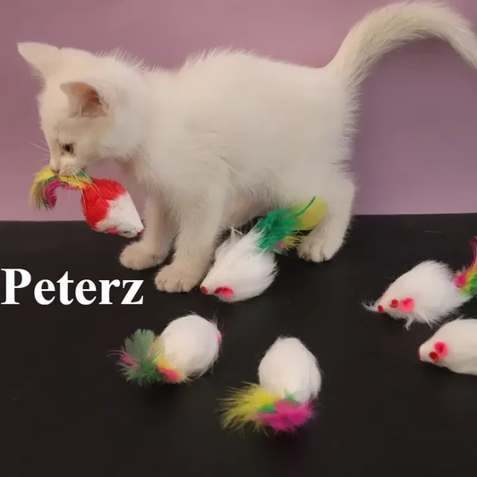 5pcs Kitten Toys Plush Simulation Mouse Interactive Cat  Furry Pet Interactive Toy Supplies Cats Playing Scratch Training Game