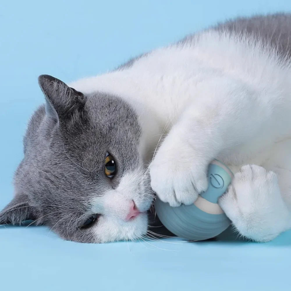 Rechargeable Smart Cat Rolling Ball Toy Interactive Self-Moving Motion Ball for Kitten Indoor Play Interactive Pet Supplies