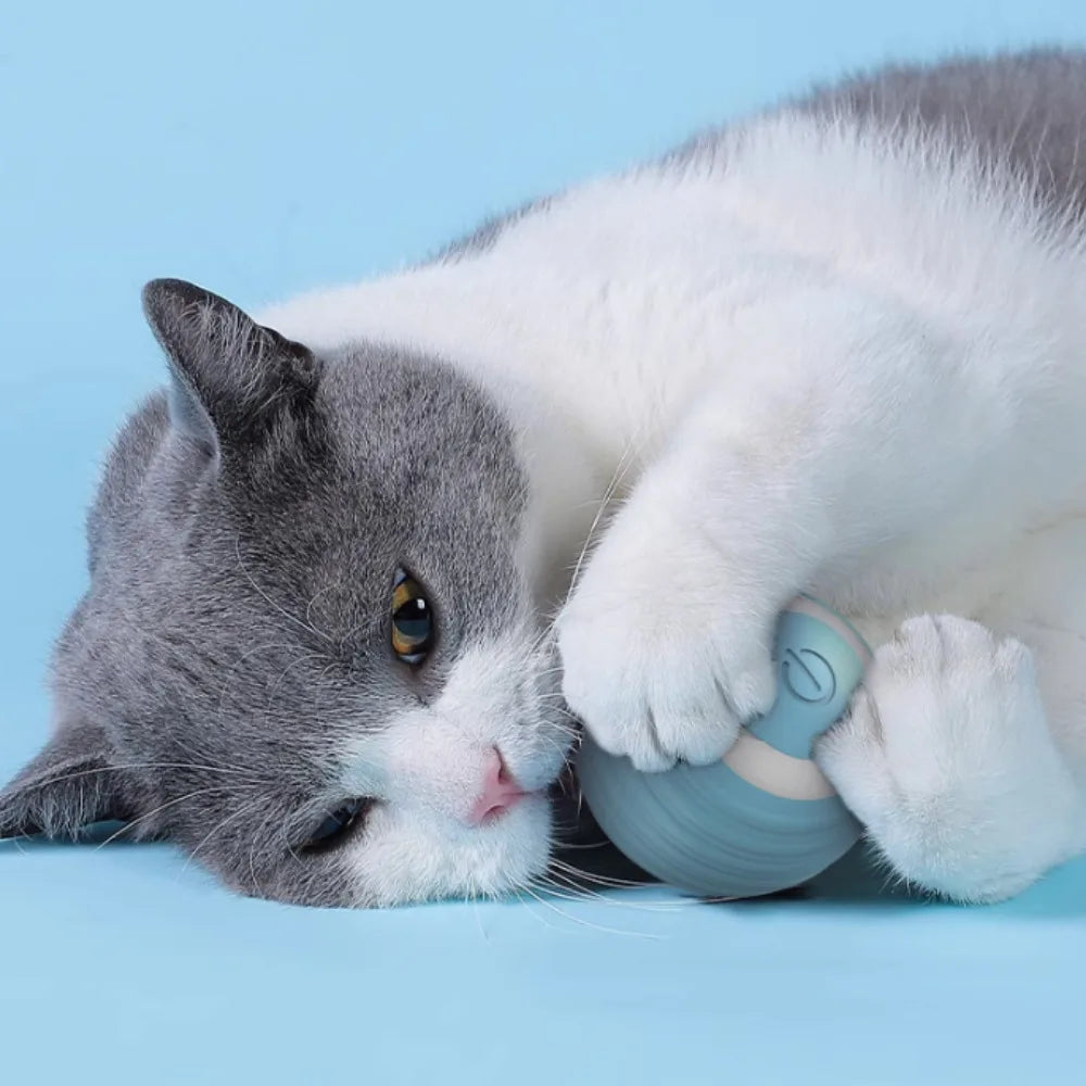 Rechargeable Smart Cat Rolling Ball Toy Interactive Self-Moving Motion Ball for Kitten Indoor Play Interactive Pet Supplies